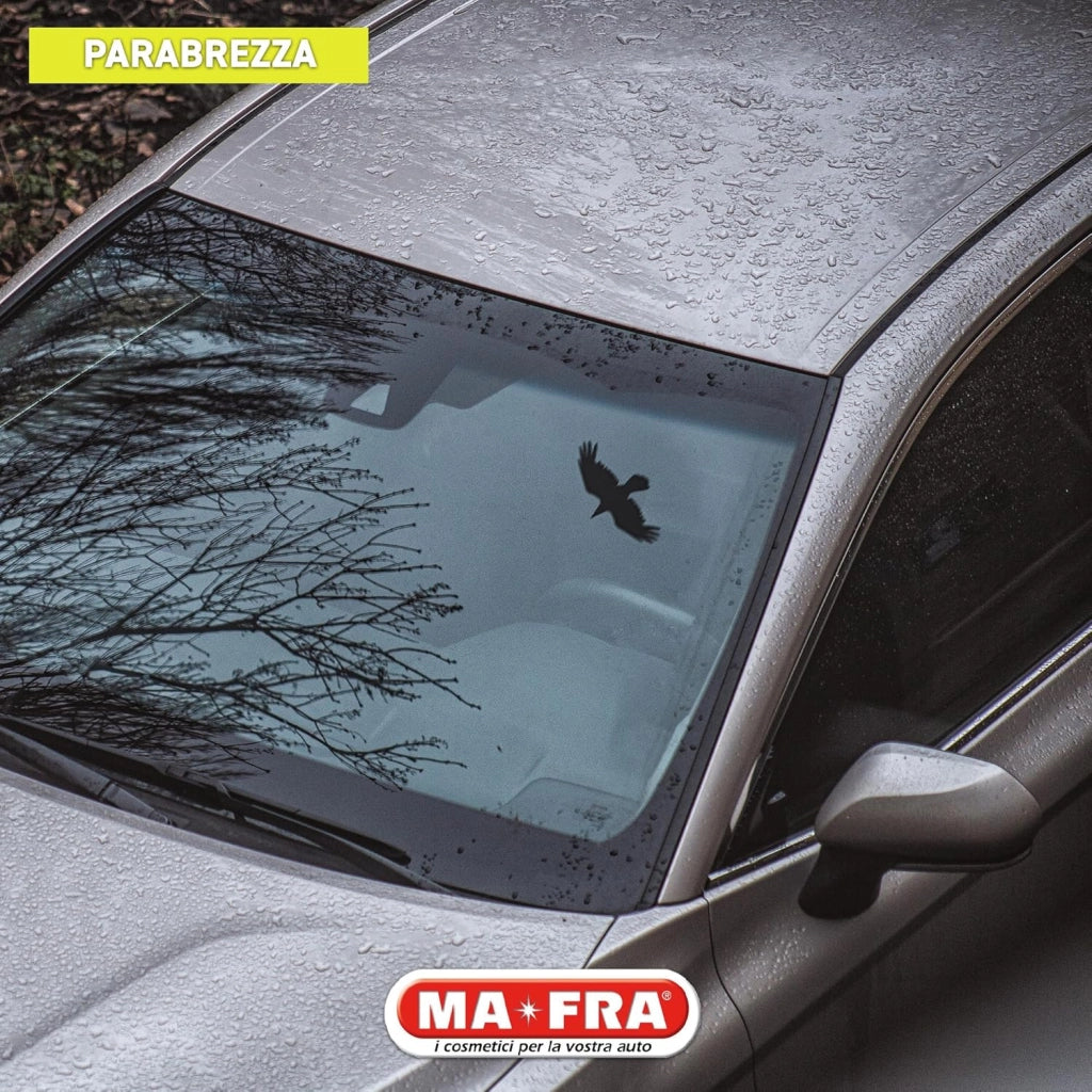 Ma-Fra, Tergy Cristalvetro, Liquido Lavavetri Per Vaschette Tergicristallo
