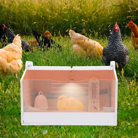 Incubatore per uova da 20 posti, alimentazione elettrica 220 V, 25 W, con alimentatore d'acqua integrato.