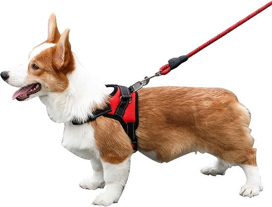 Cinturone per cani con doppia protezione pettorale e dorsale - Adatto per cani piccoli, medi e grandi - Sicuro e comodo - Adattamento perfetto - Accessori per animali domestici - Porta cagne
