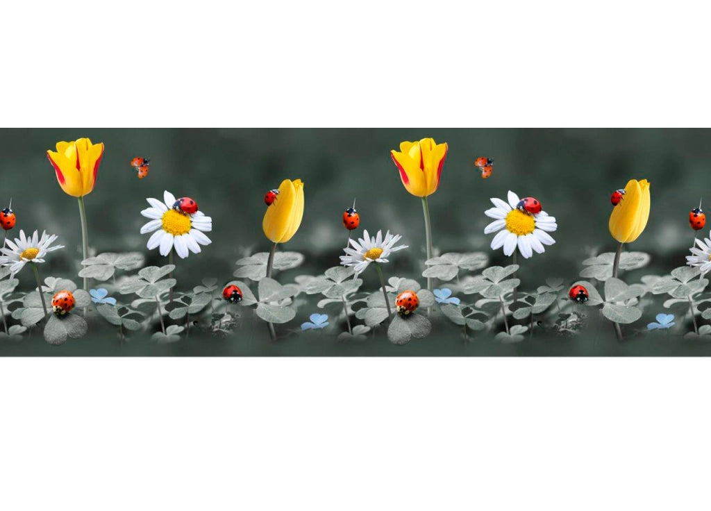 Tappeto Passatoia Cucina Antiscivolo Sottolavello Digitale Dis. Puff Coccinella - 50x180 - Puff Coccinella
