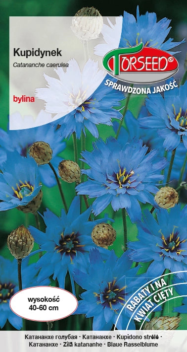 Cupido - Catananche caerulea blu 0,3g