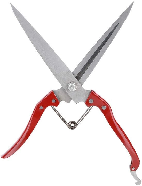 Scegliere Solido - Scossa per Capre - Tondeuse Manuale per Lana - Ergonomica - Acciaio Inox - Tondeuse Multifunzione - Adatta per Capre e Animali da Compagnia
