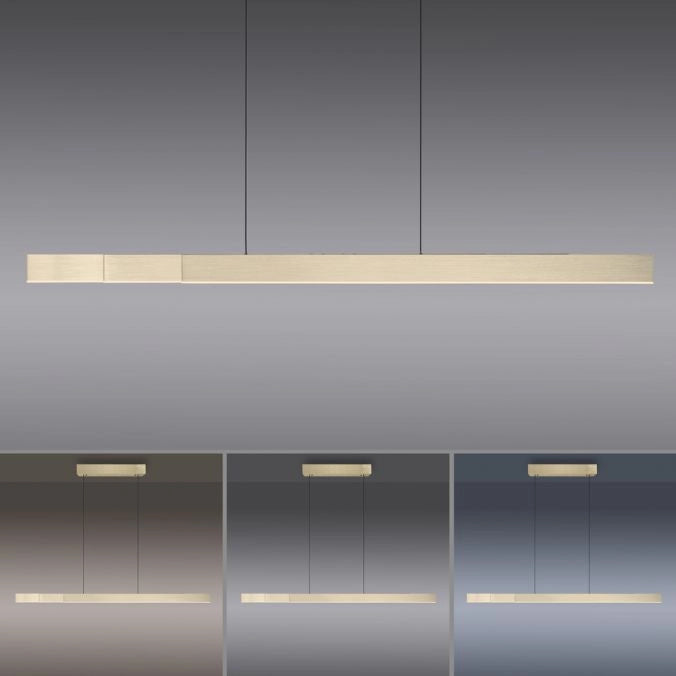 Lampada a sospensione LED Pure Moto Rise 13W Paul Neuhaus
