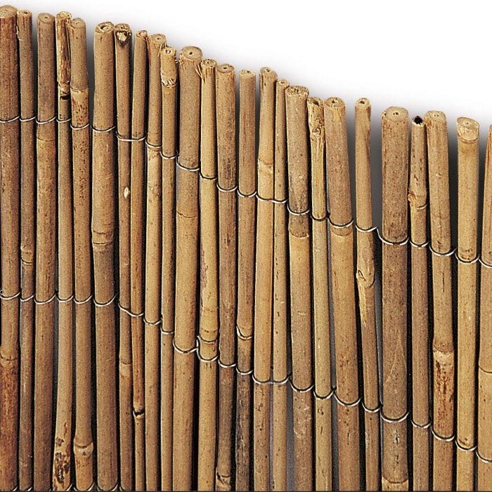 Arella con Cannette di Bamboo Canniccio Canne Recinzione Esterno Ø 8-10 mm Formato: 2,5 x 3 m