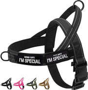 Accessori per cani in metallo flessibile - Anti-schizzo - Riflettente - Cappottino per cani piccoli/grandi - Leggero - Cinturino a martingala