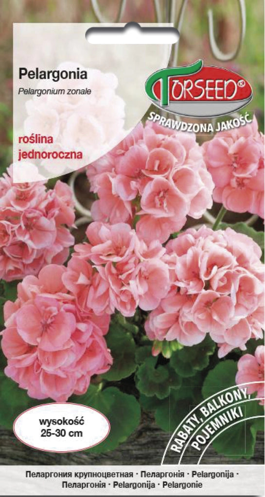 Pelargonium - Pelargonium rosa F2 10g