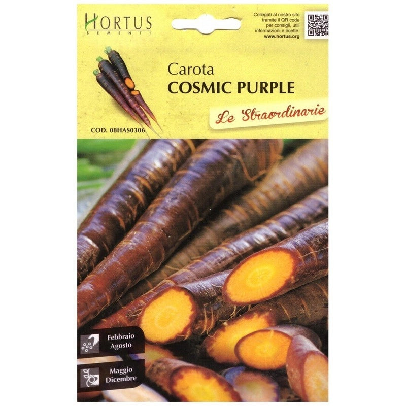 Carota Cosmic Purple straordinarie