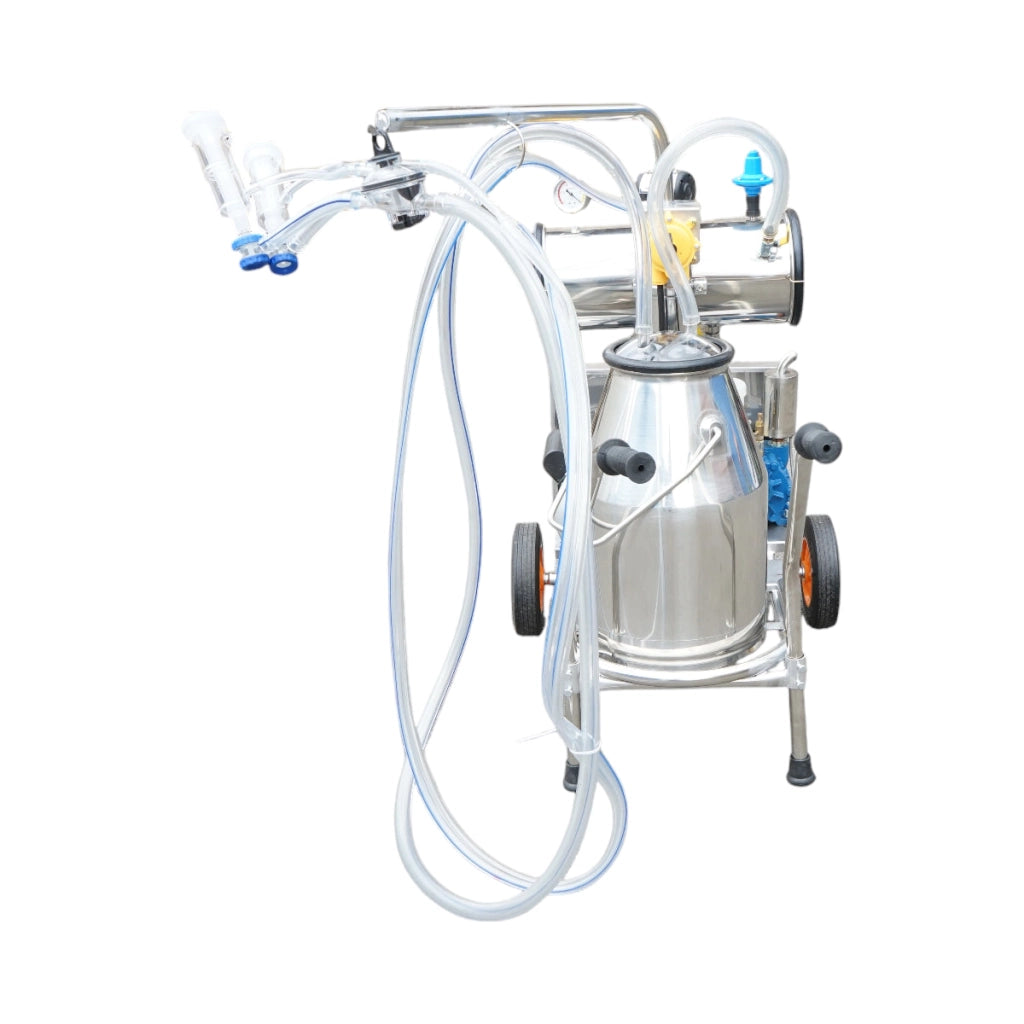 Dispositivo per mungitura di pecore, 1 postazione, 750W, 220V, bidone in acciaio inox da 25L, gruppo di mungitura con 2 manicotti, pressione del vuoto 40-50 kPa, pulsazioni 60-80 cpm