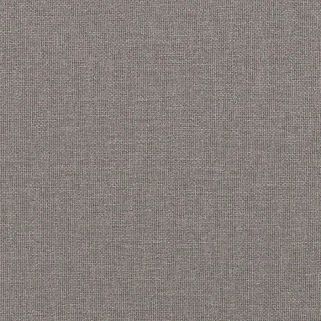 Cuscini da Divano 2 pcs Talpa 60 x 40 cm Tessuto 42013659