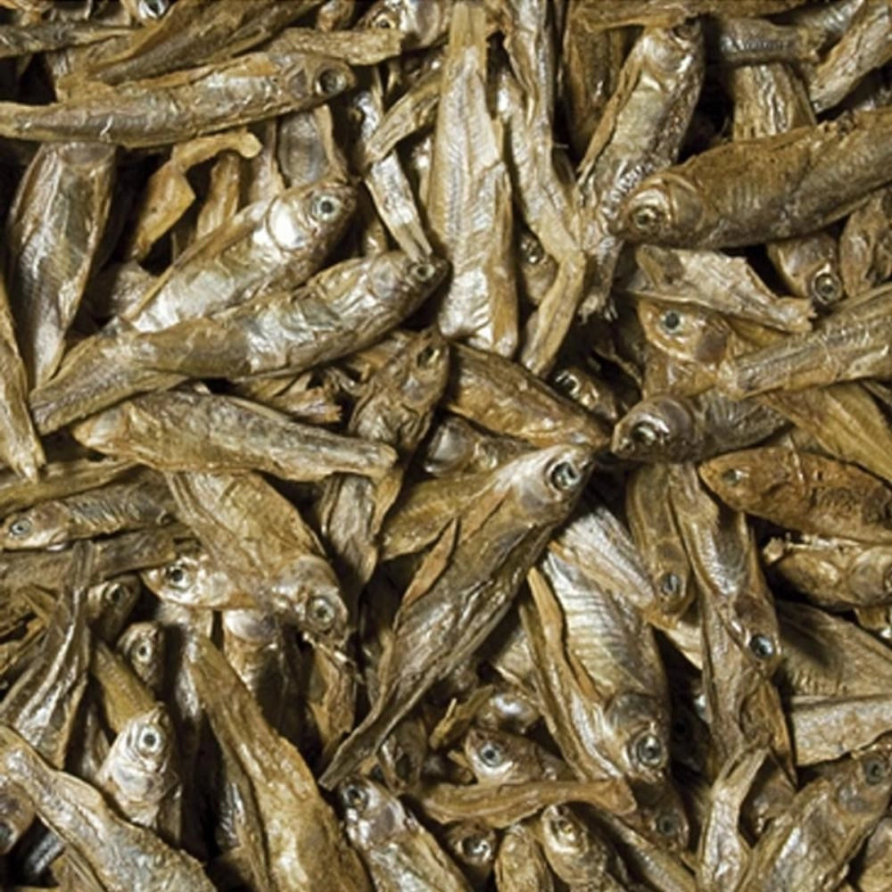 Tropical Dried Fish - Pesci essiccati per tartarughe acquatiche rettili e grandi pesci - 250ml / 35gr