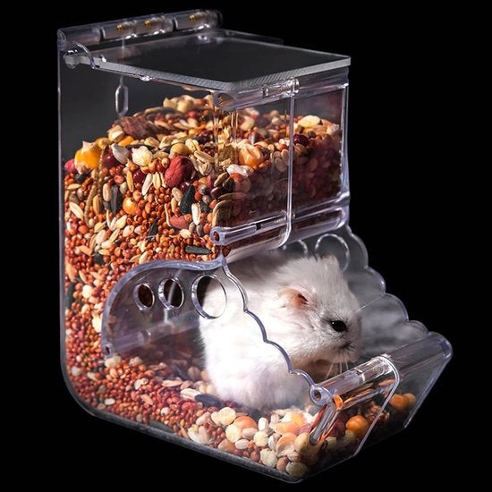 Dispensatore Automatico per Piccoli Animali con Funzione di Gravità - Contenitore per Pellets - Stazione Alimentare Ideale