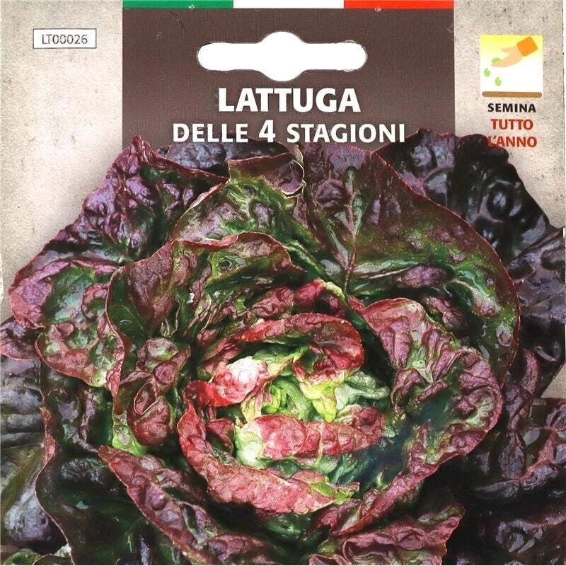 BUSTA SEMENTI LATTUGA DELLE 4 STAGIONI