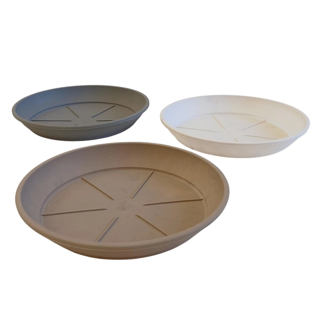SOTTOVASO COLOR D.18XH3CM ASSORTITO