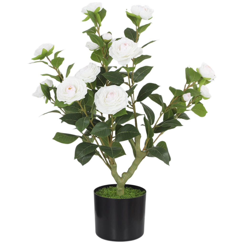 Planta Artificiale Camelia 65cm ¨C Minimal ¨C Bianco Verde