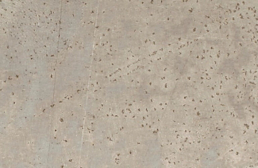 Lamiera In Alluminio Liscio Naturale 100X40 - Arcansas