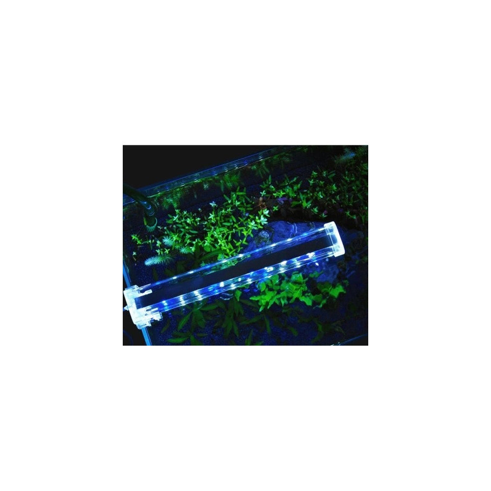 Trade Shop - Lampada Plafoniera Led Per Acquario Luce 4w Bordo Vasca Vetro Piante Pesci -