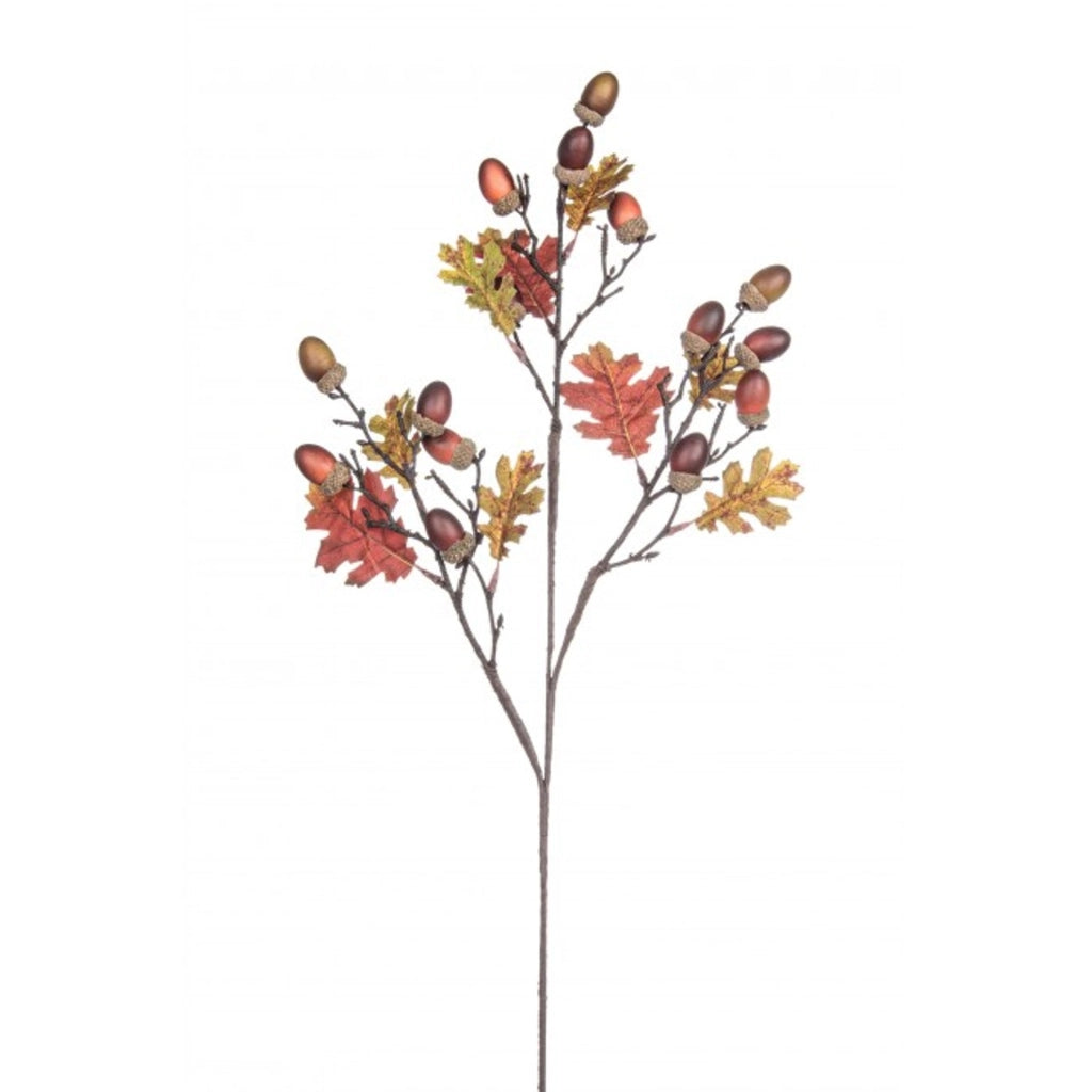 Quercia ramo rustica