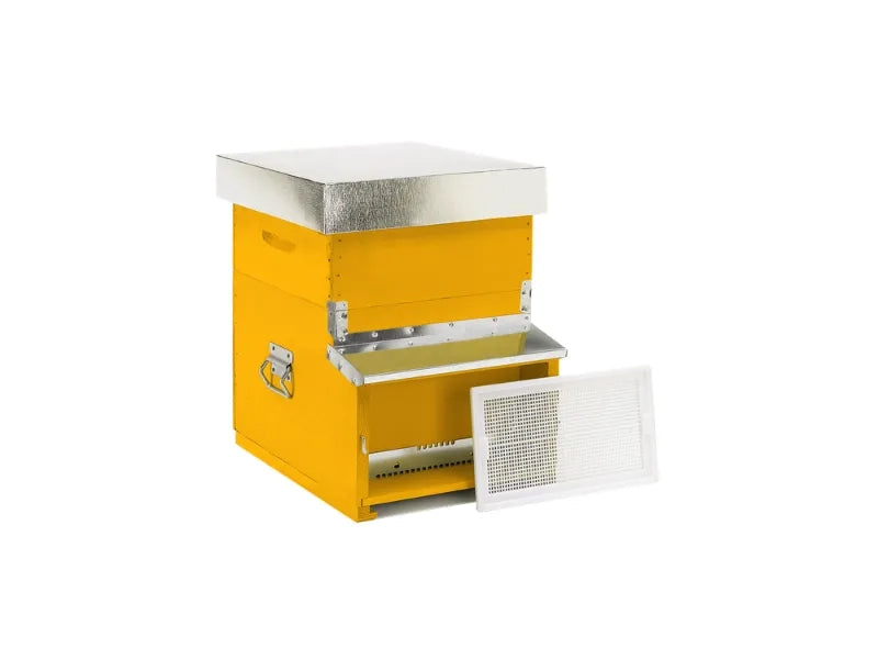 21B Arnia Dadant-Blatt 10 favi fondo fisso antivarroa nomadismo 25 kg - Giallo