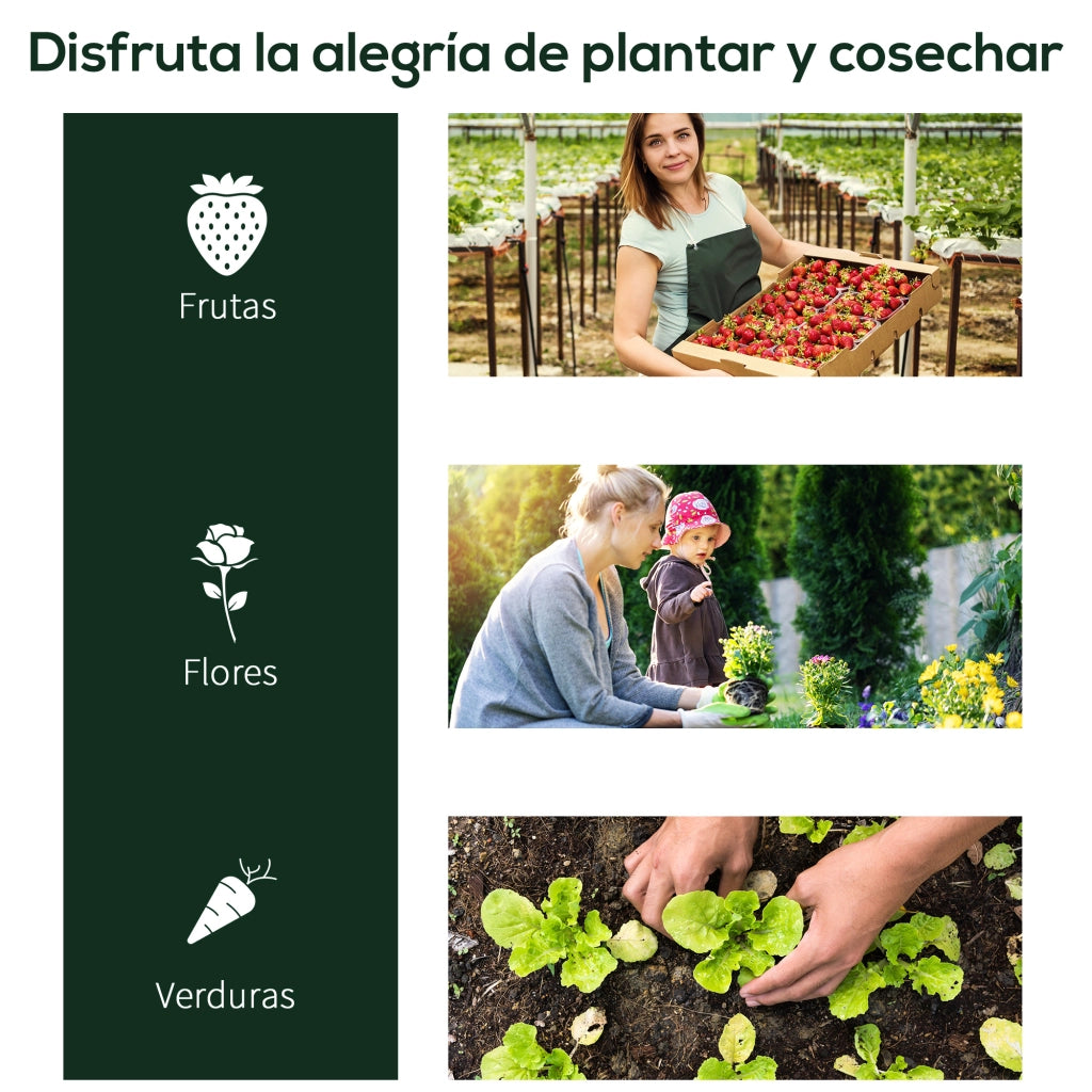 Serra da Giardino ¨C zephmum ¨C 200x100x80 cm Acciaio PVC Trasparente