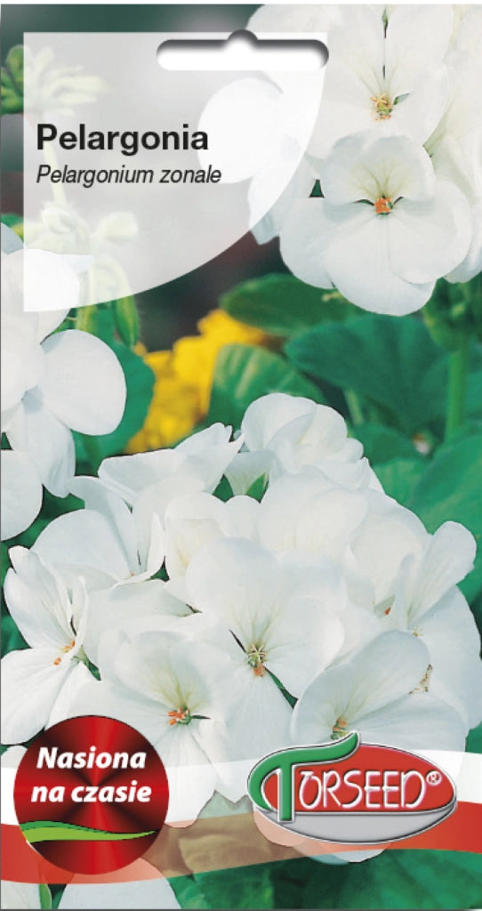 Pelargonium - Pelargonium bianco F2 10g