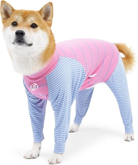 Vestiti da Notte per Cani