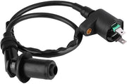 Bobina di Accensione per Motocicletta - Alta Intensità Scintilla - GY6 Adatto - Resistentente alla Corrosione - Materiale Duraturo - Lunghezza Totale 450 mm - Avvolto di Accensione