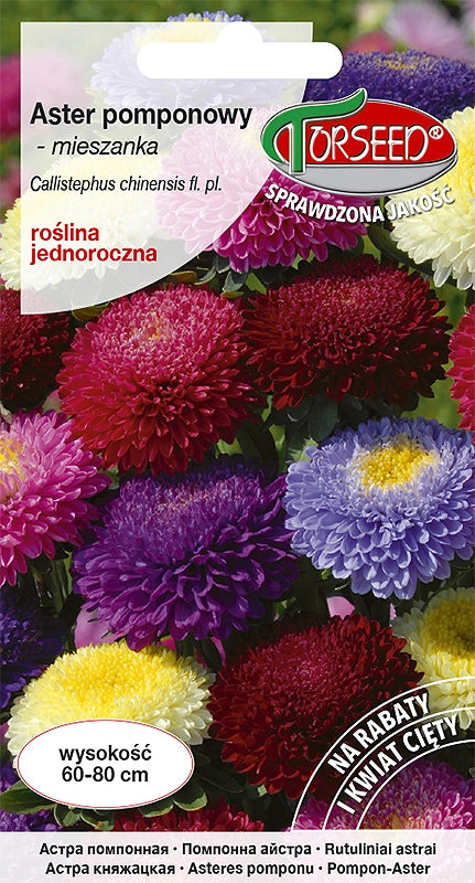 Astro con pompon - Callistephus chiń. fl.pl miscela 1g