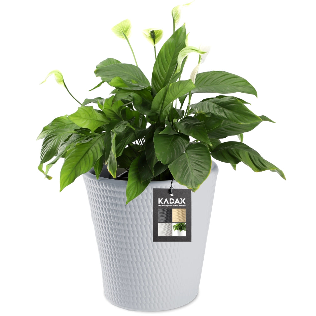 Vaso da fiori KADAX in plastica, rotondo, 40 cm, grigio