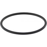 GUARNIZIONE SILICONE CALDAIA MACCHINA CAFFE GAGGIA CAREZZA EVOLUTION BABY 70mm - Saeco Gaggia