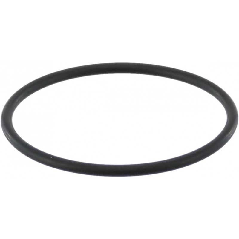 GUARNIZIONE SILICONE CALDAIA MACCHINA CAFFE GAGGIA CAREZZA EVOLUTION BABY 70mm - Saeco Gaggia