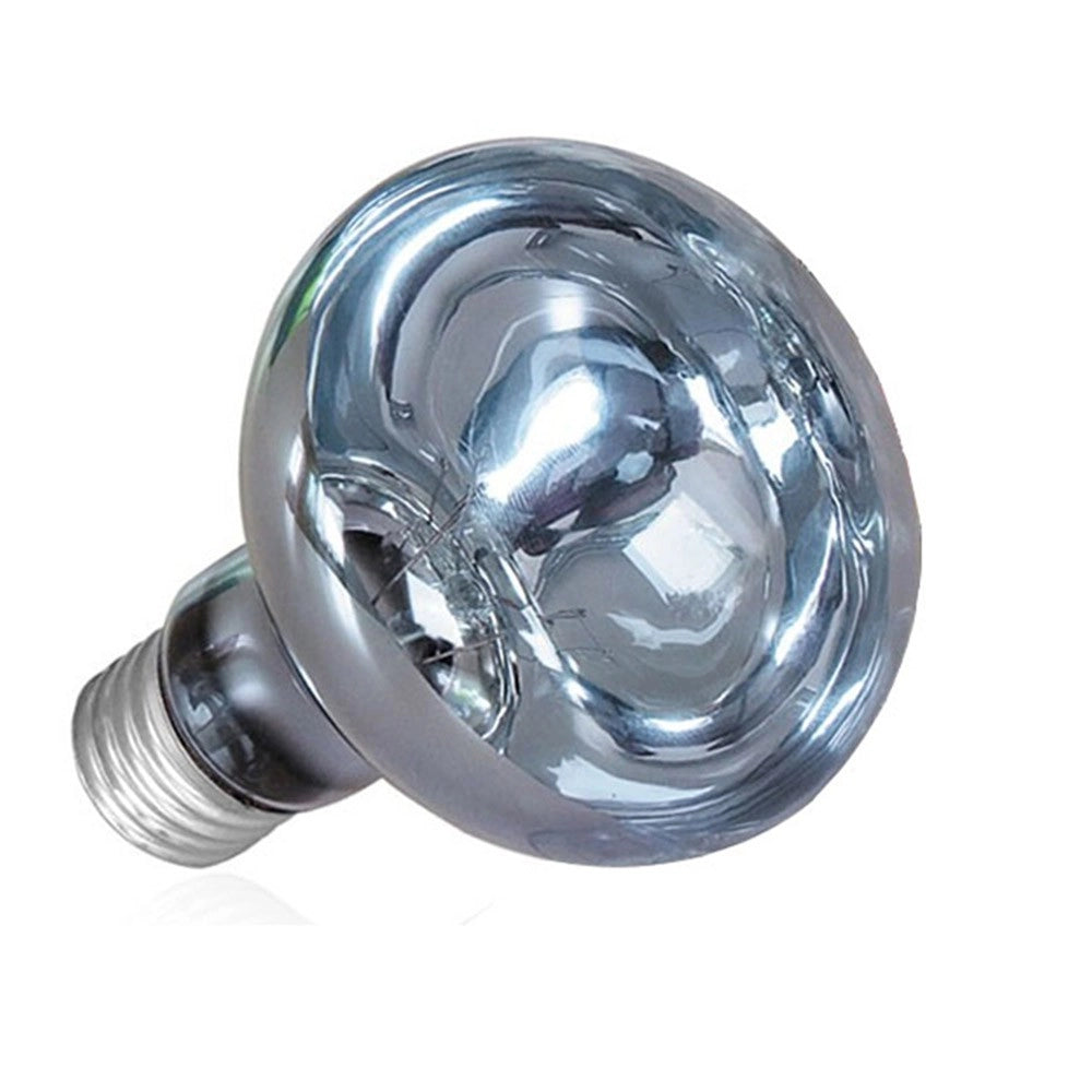 AQL Terra DayHeat Lamp Attacco E27 - Lampada riscaldante diurna per terrari Wattaggio Riscaldatori e lampade terrario: 50W