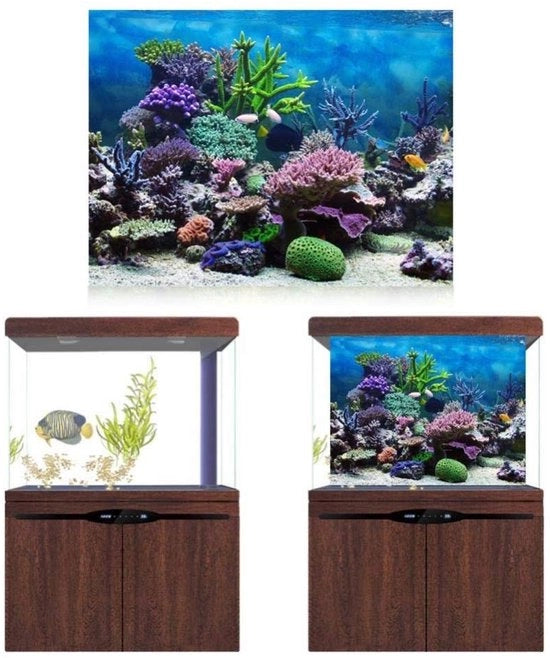 Pannelli decorativi acquario - 122x50cm - PVC impermeabile - poster - colore vivido