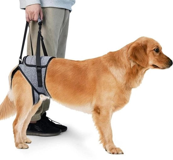 Harnas di Supporto per Cani anziani/Canicani - Grigio - Regolabile - Materiale di Alta Qualità - Utilizzo Comodo - Attrezzo per Cani