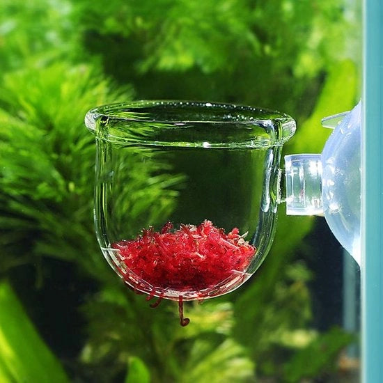 Alimentatore per acquario - Adatto per piccoli pesci tropicali - Materiale di alta qualità - Sostenibile - Con morsetto - Migliorato piacere di alimentazione - Alimentatore per acquario