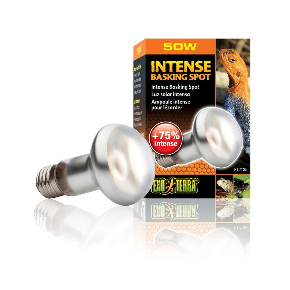 ExoTerra Intense Basking Spot - lampada per terrari a luce concentrata Wattaggio Riscaldatori e lampade terrario: 50W