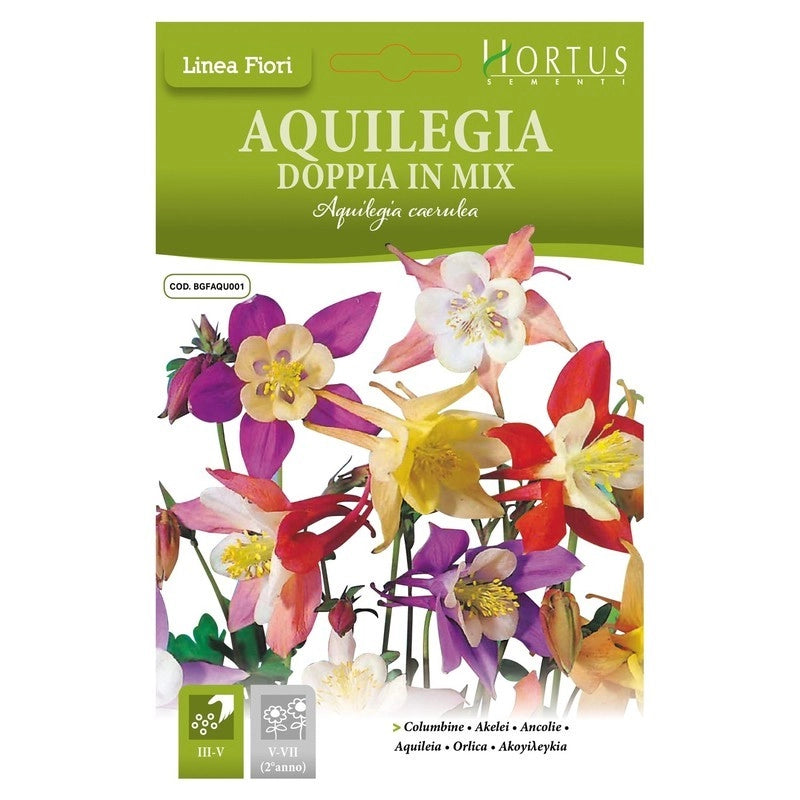 Aquilegia doppia mix DB