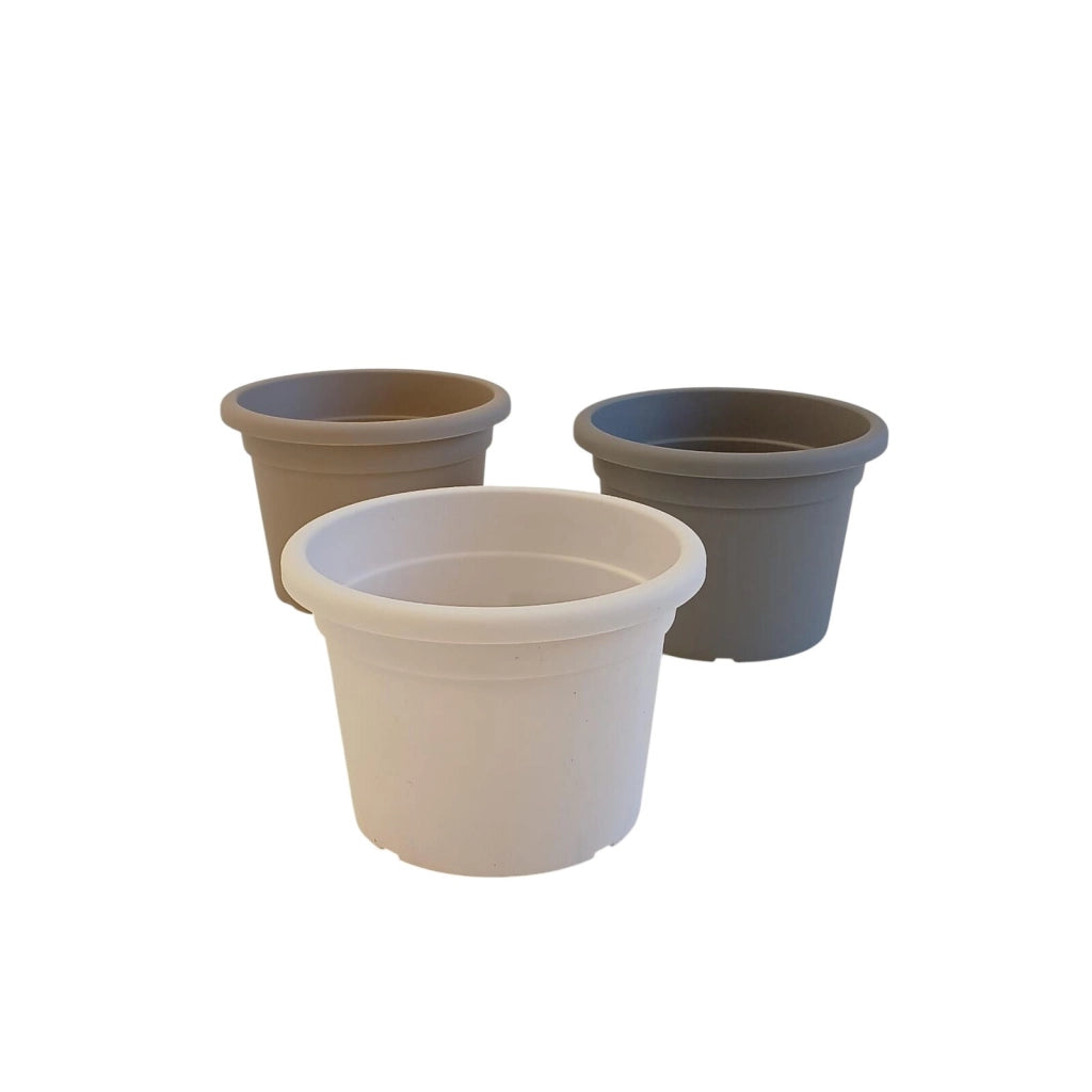 VASO CILINDRO COLOR D.16XH11,5CM ASSORTITO