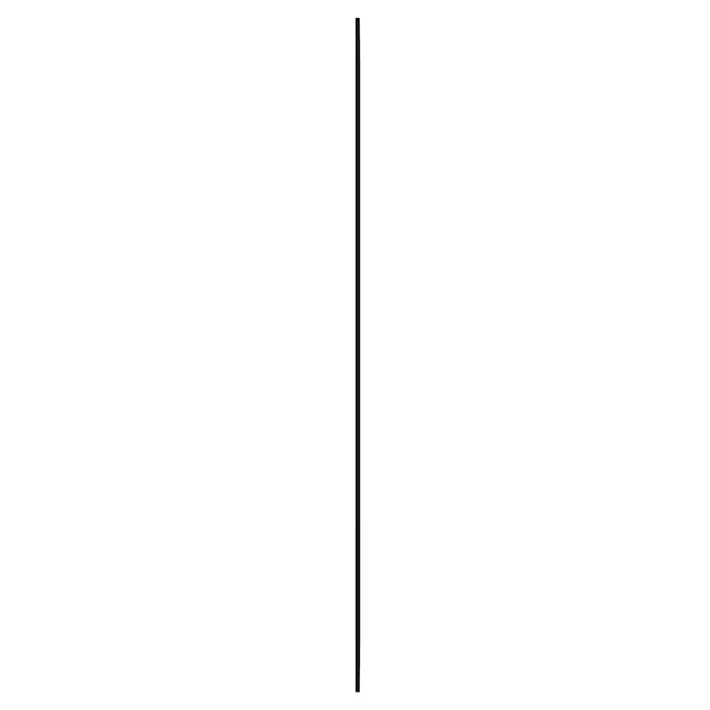 Specchio da Parete 30x70 cm Vetro Ovale 350455