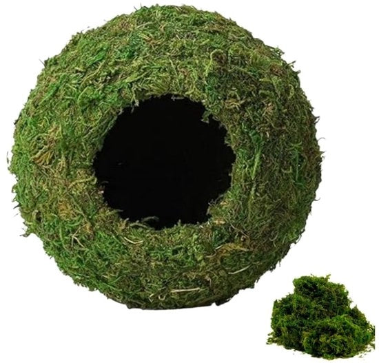 Vivario Decorativo per Geco/Krocodili - Habitat Decorativo Bioattivo - Schermo Idrofilo per Geco/Krocodili - Decorazione per Vivario - Manto Verde Naturale - 4-7 Pollici