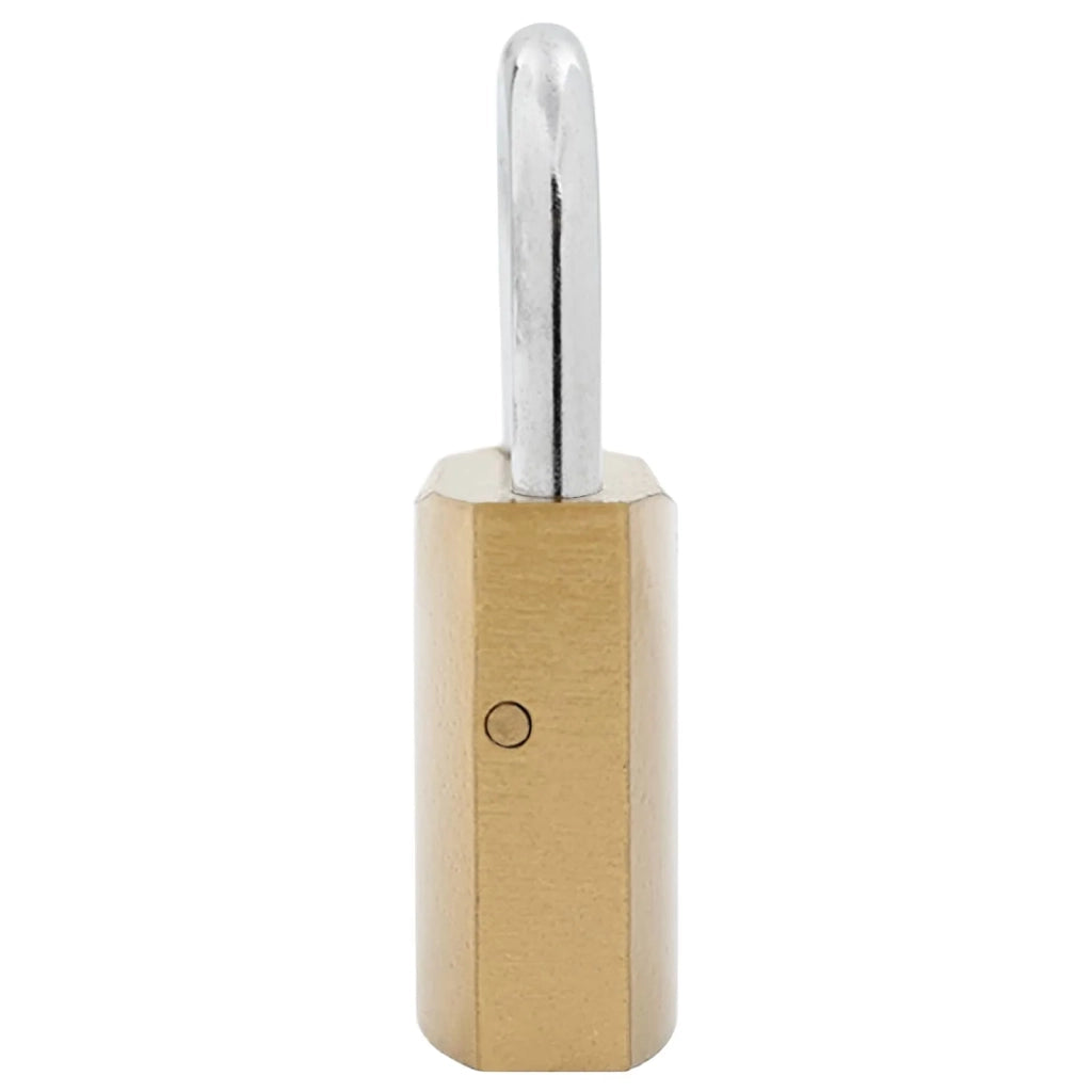 U Lock con Chiavi 100 pcs Ottone Ferro 42021897