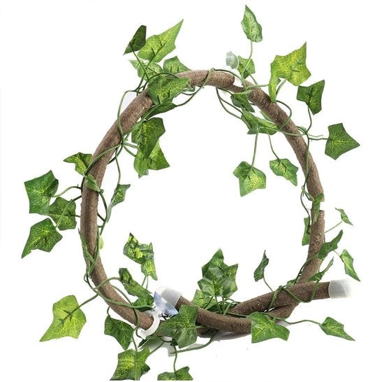 Viti flessibili per rettili e anfibi