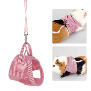 Set di cinture per animali domestici adattabili - Riem Set - Vestizione per passeggiate all'aperto - Per piccoli animali - Dimensione L - Adatto per cavi, scoiattoli, lepri, conigli e ecc. - Cintura per animali