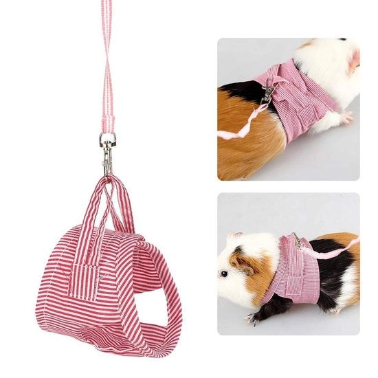 Set di cinture per animali domestici adattabili - Riem Set - Vestizione per passeggiate all'aperto - Per piccoli animali - Dimensione L - Adatto per cavi, scoiattoli, lepri, conigli e ecc. - Cintura per animali