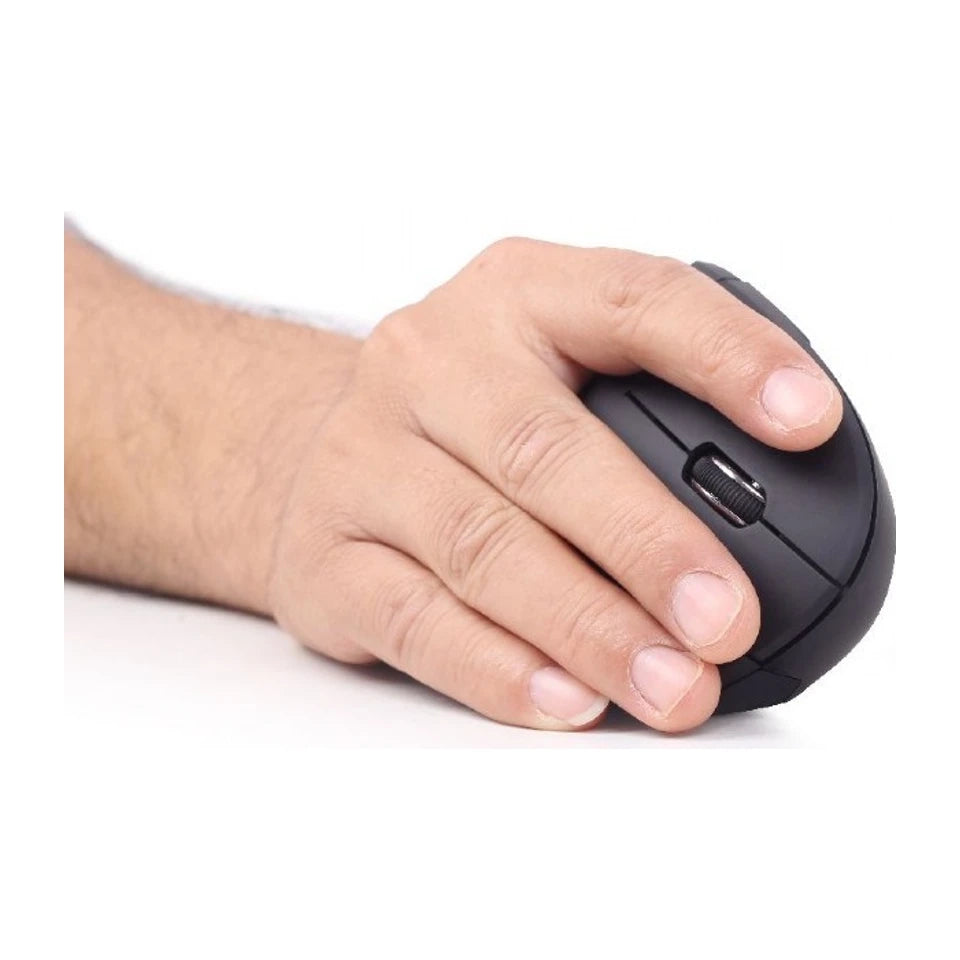 Gembird MUSW-ERGO-01 mouse Ottico Wireless RF Destro 1600 DPI