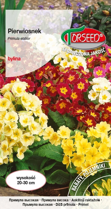 Primula - Primula elatior mix 0,3g