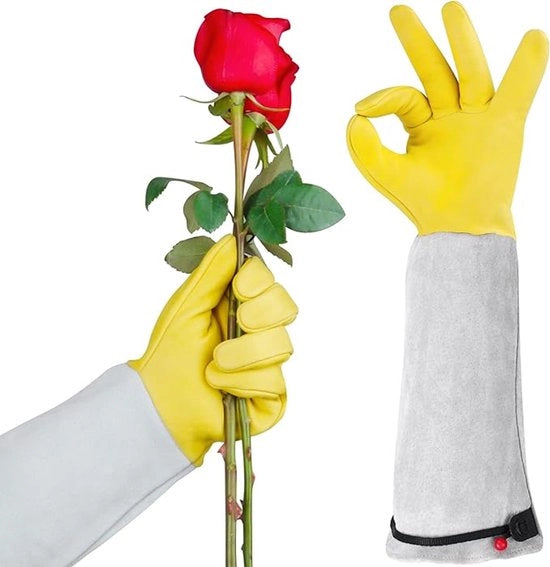 Manicure per potatura, guanti da giardinaggio lunghi per donne e uomini, guanti da cactus resistenti alle spine, guanti da piante in pelle di capra, guanti da giardinaggio, regalo per il giardiniere (taglia L)
