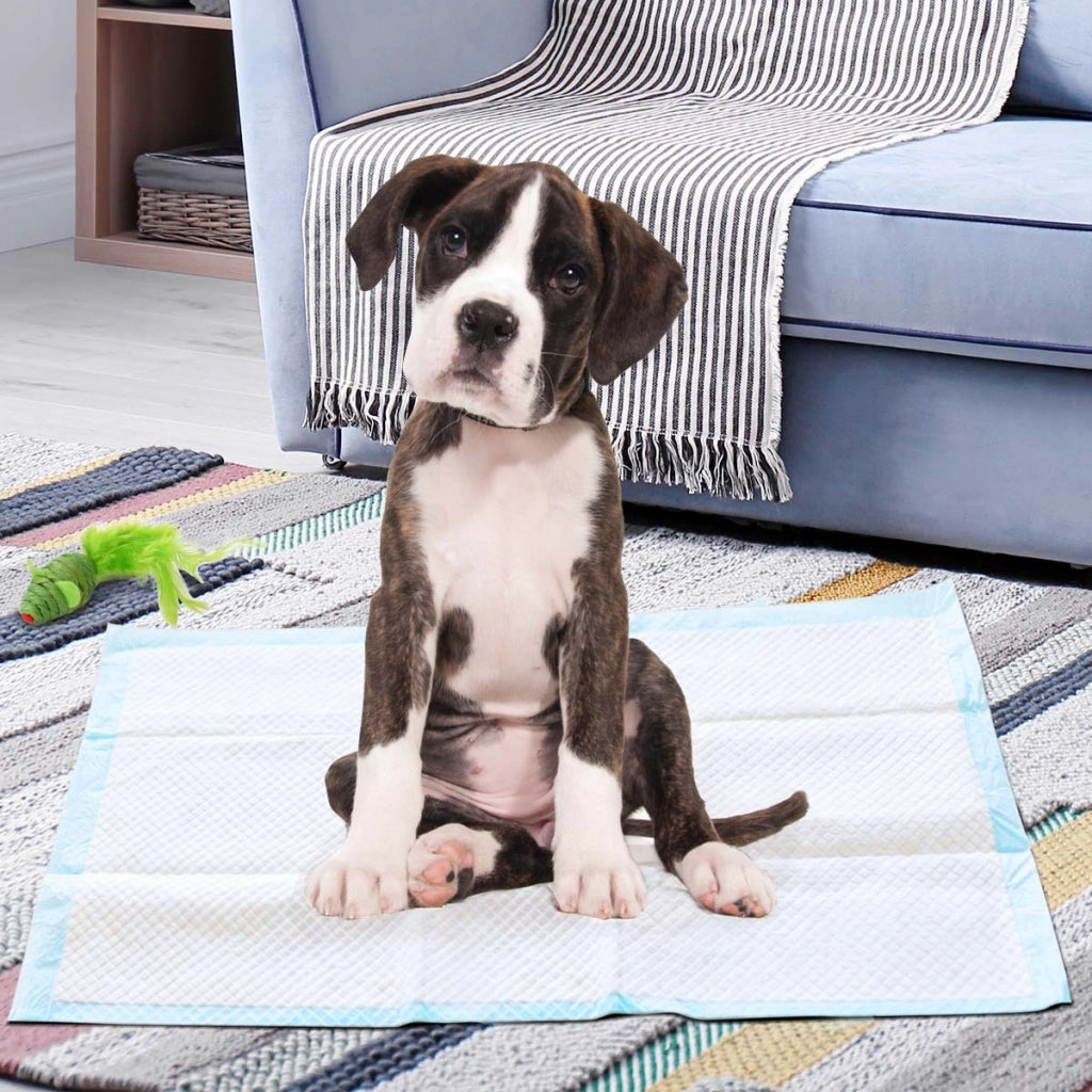 Traverse usa e getta con controllo odore, Traverse con asciugatura rapida per cani gatti conigli, 60 x 90 cm-Giochi e accessori per cani