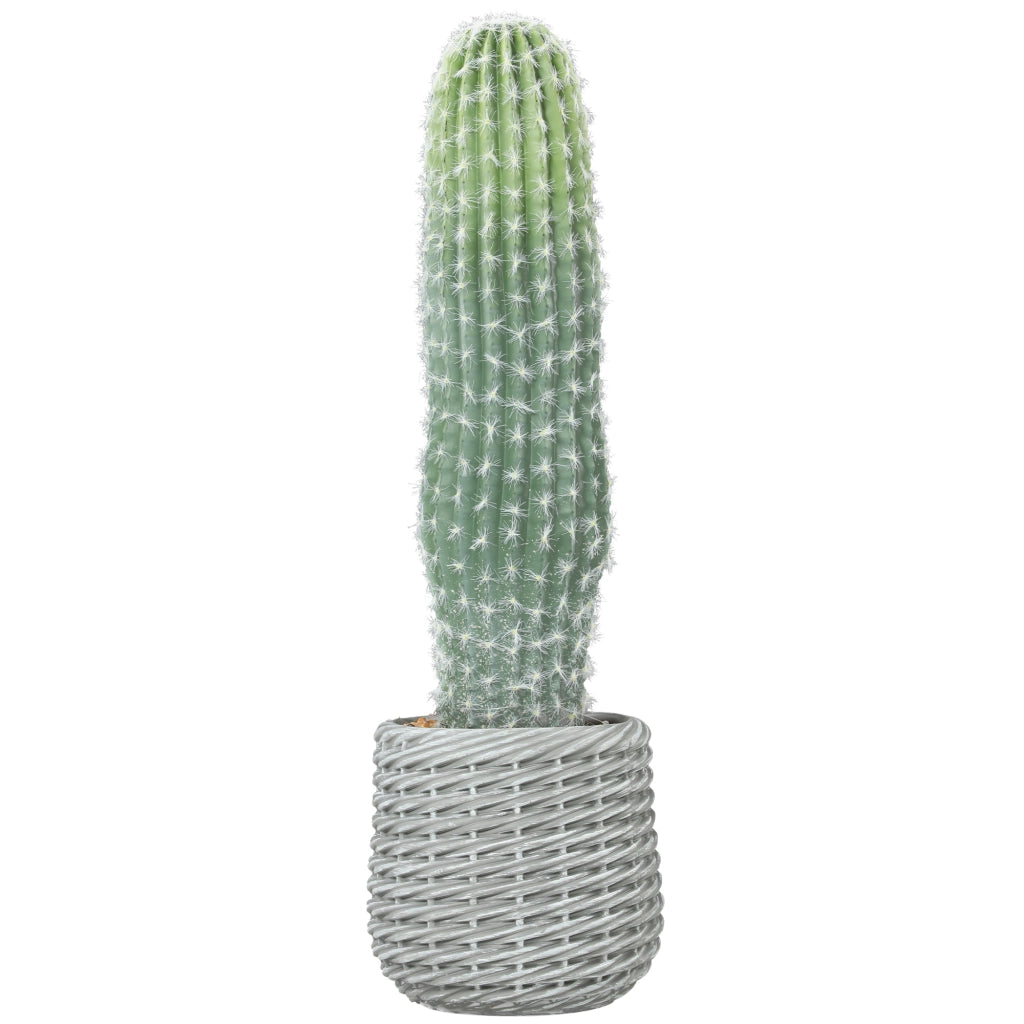 Pianta Artificiale Cactus ¨C Minimal ¨C Verde 66 cm