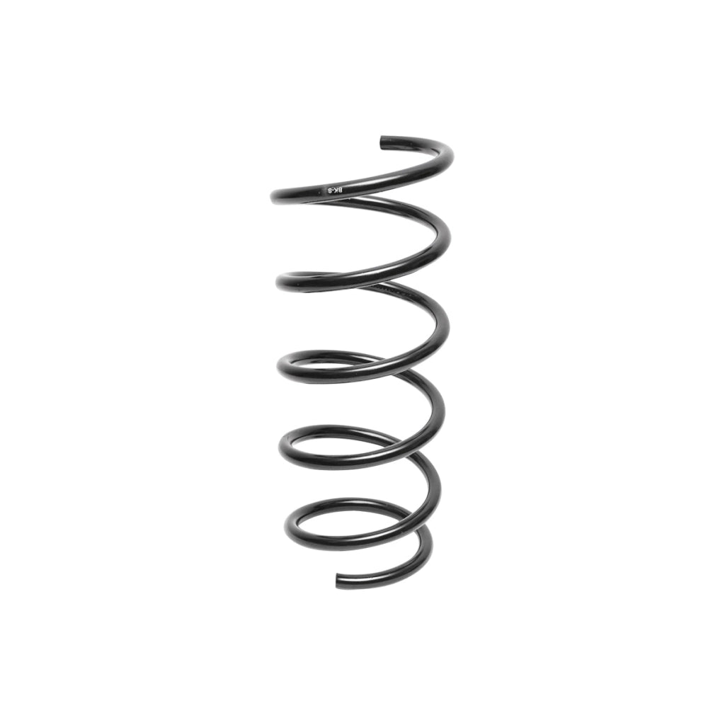 Molla posteriore Dacia Duster 4x4 550202720R