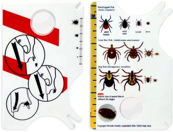 Tavolozza per disegno 2 pezzi - Carta per cancellare disegno con lente - Catturatore di impronte di animali domestici - Plastica - 8,5 x 5,4 cm - Resistente allo scalfito e duraturo - Cancella disegni
